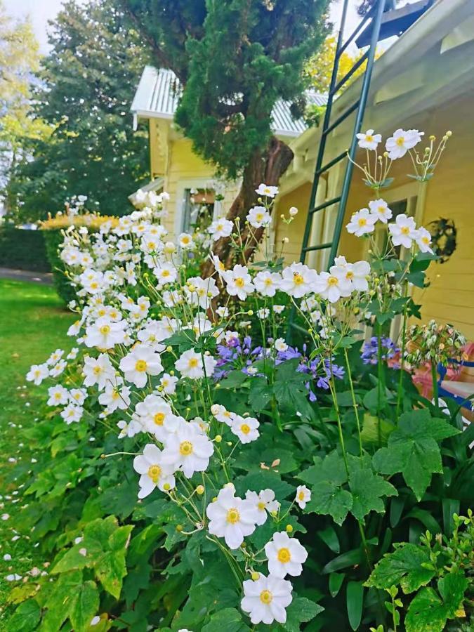 Country Villa Estate Ngongotaha Kültér fotó