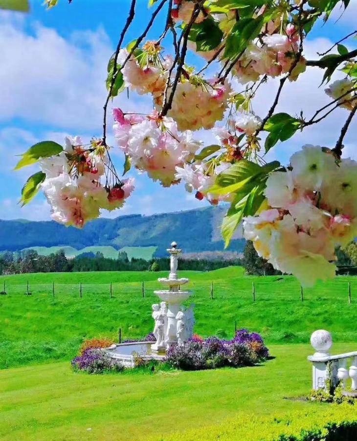 Country Villa Estate Ngongotaha Kültér fotó