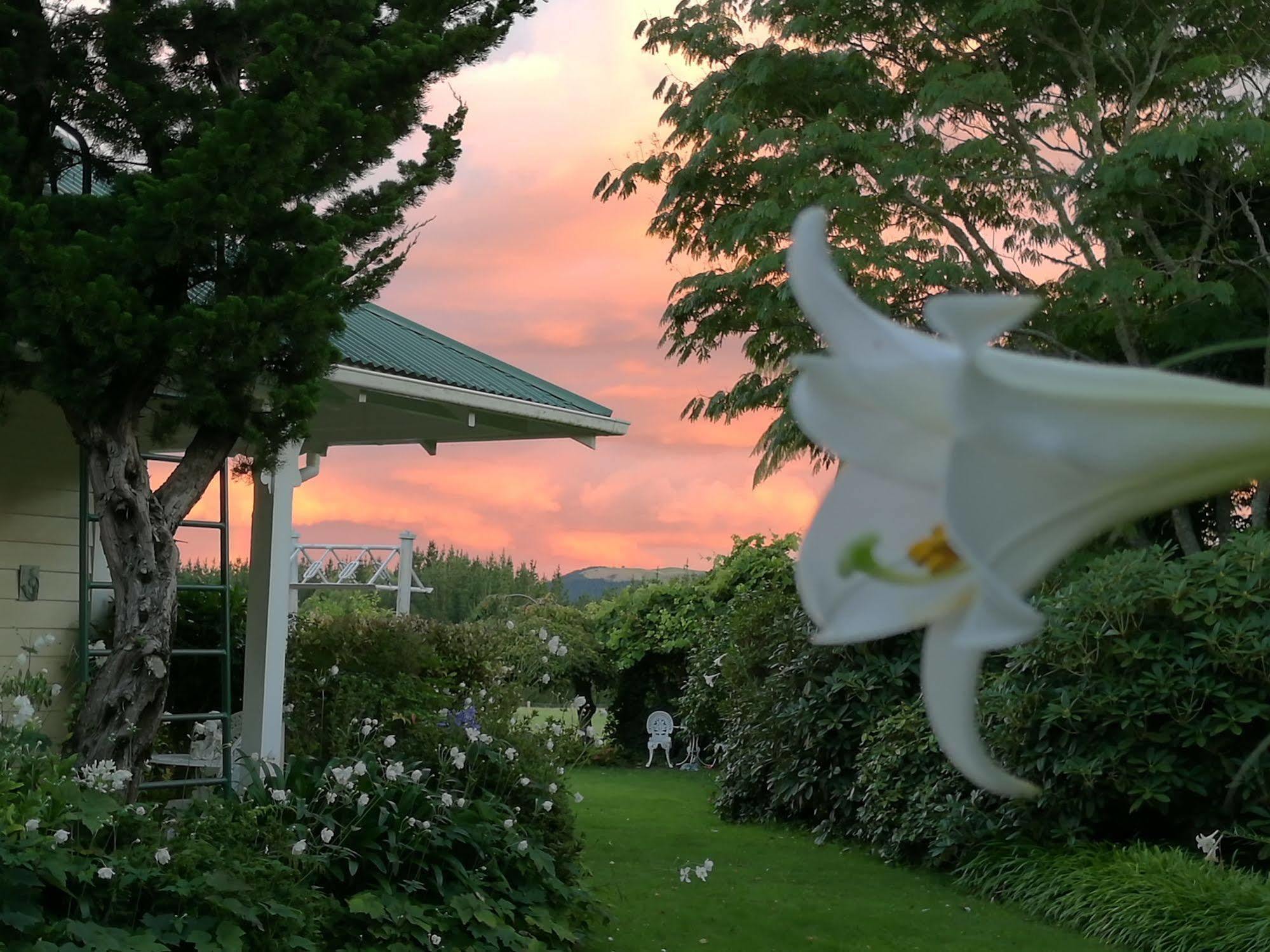Country Villa Estate Ngongotaha Kültér fotó