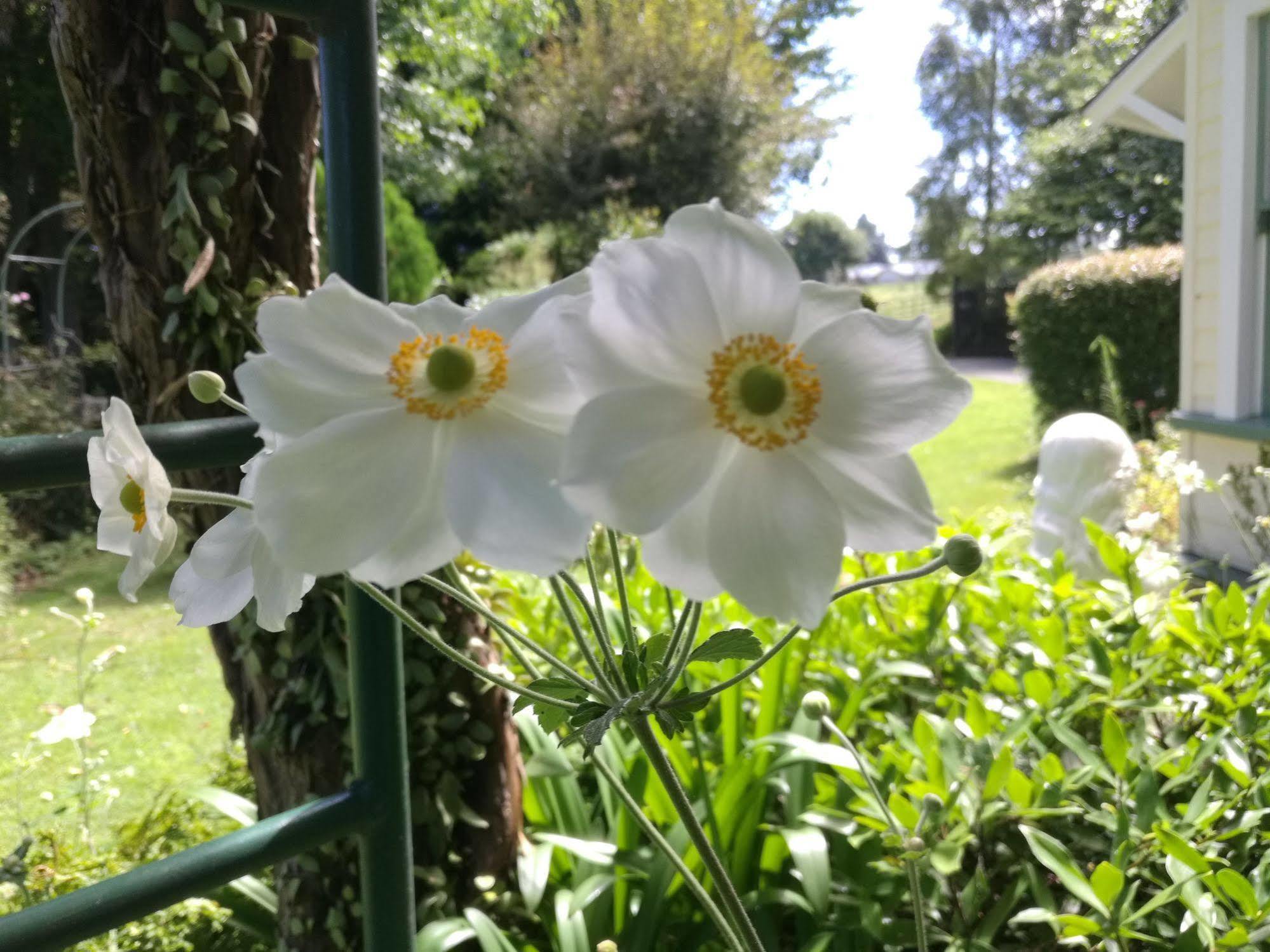 Country Villa Estate Ngongotaha Kültér fotó